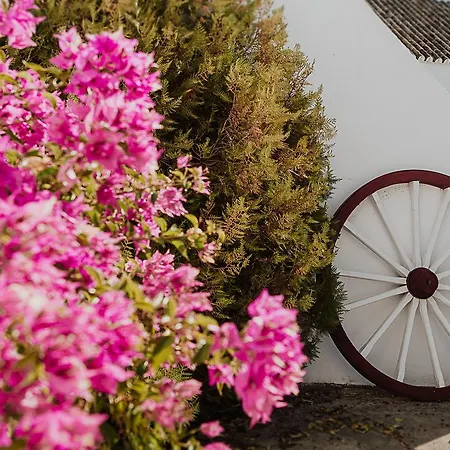 Cortijo Santa Clara Farm stay Carmona (Seville)