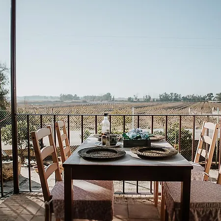 Farm stay Cortijo Santa Clara Carmona (Seville)