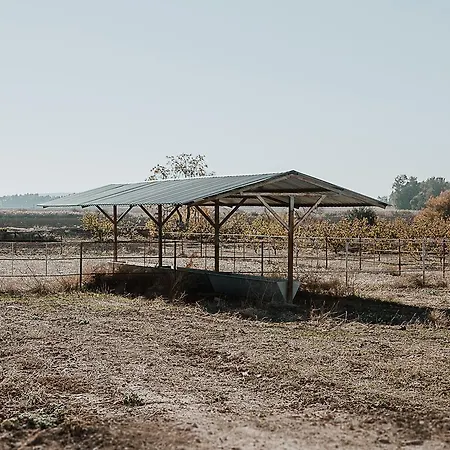 Cortijo Santa Clara Farm stay Carmona (Seville)