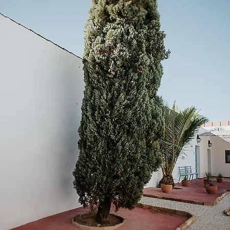 Farm stay Cortijo Santa Clara Carmona (Seville)