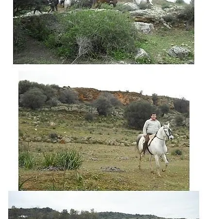 Cortijo Santa Clara Farm stay